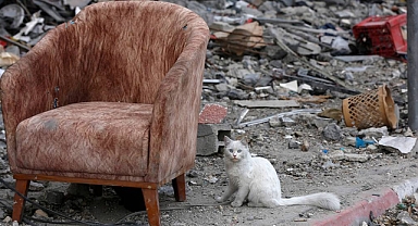 Yıkım gün yüzüne çıktı! Enkaz şehir Gazze